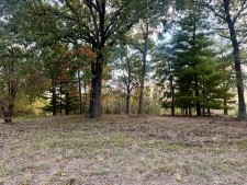 Land property for sale in Mansfield, MO