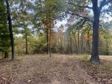 Listing Image #3 - Land for sale at 000 State Highway U, Mansfield MO 65704