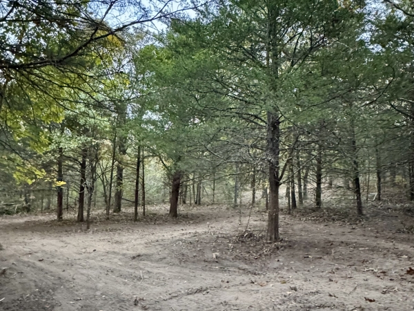 Listing Image #1 - Land for sale at 000 County Road 110, Mansfield MO 65704