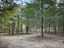 Land property for sale in Mansfield, MO