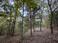 Listing Image #2 - Land for sale at 000 County Road 110, Mansfield MO 65704