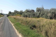 Listing Image #2 - Land for sale at 1930 Jericho Rd, Richland WA 99352