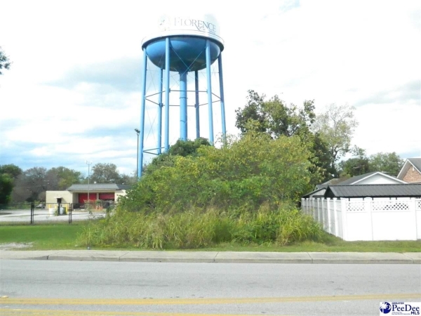 Listing Image #2 - Others for sale at TBD East Darlington St., Florence SC 29506