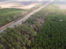 Listing Image #3 - Land for sale at 10.00 AC Highway 341 Hwy 341, Odum GA 31555
