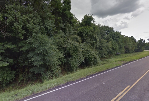 Listing Image #1 - Land for sale at Pete's Hwy, Denham Springs LA 70726 Listing Image #1 - Land for sale at Pete's Hwy, Denham Springs LA 70726