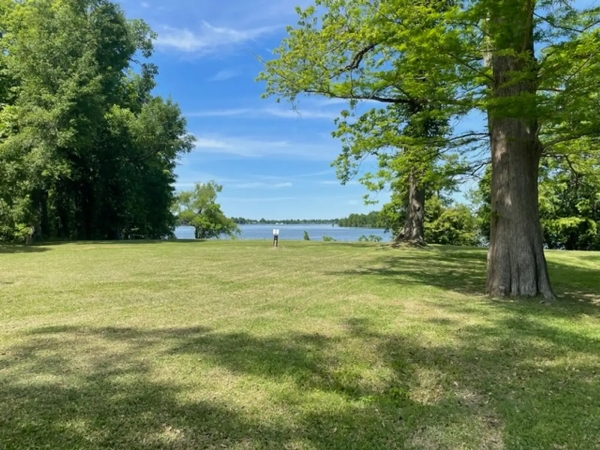 Listing Image #2 - Land for sale at 159 Oak Harbor Rd, Ferriday LA 71334 Listing Image #2 - Land for sale at 159 Oak Harbor Rd, Ferriday LA 71334