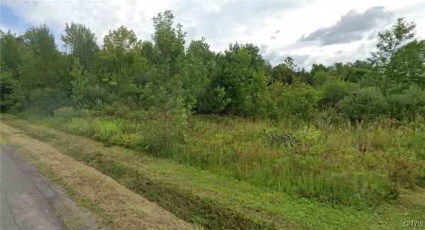 Listing Image #3 - Land for sale at Lower Lawrence Street, Westmoreland NY 13440