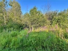 Listing Image #2 - Land for sale at Lower Lawrence Street, Westmoreland NY 13440