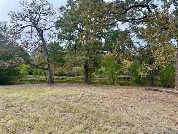 Listing Image #3 - Land for sale at TBD SE Loop, Carthage TX 75633