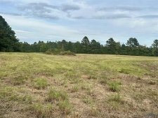 Listing Image #2 - Land for sale at TBD SE Loop, Carthage TX 75633