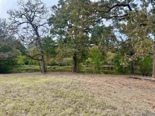 Listing Image #3 - Land for sale at TBD SE Loop, Carthage TX 75633