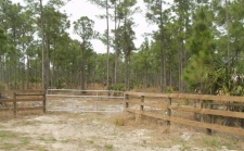 Listing Image #2 - Land for sale at TBD County Rd 512, Fellsmere FL 32948