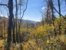 Others property for sale in 1tt8qn6g6tkl, PA