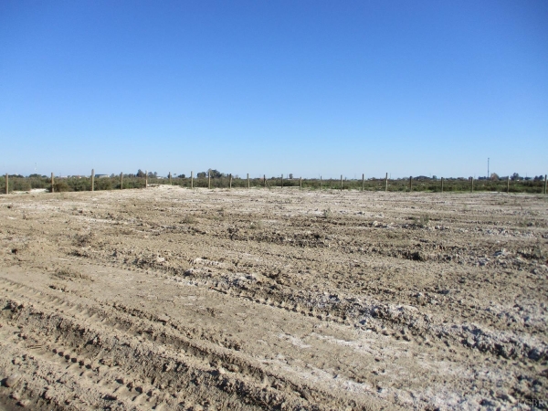 Listing Image #1 - Land for sale at Jackson, Lemoore CA 93245