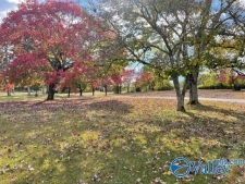 Land property for sale in Decatur, AL