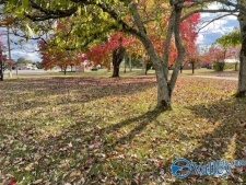 Listing Image #3 - Land for sale at 2703 Highway 31 S, Decatur AL 35603