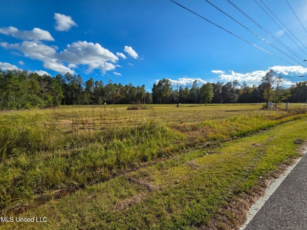 Listing Image #2 - Land for sale at 0 Hwy 614 Highway, Moss Point MS 39562