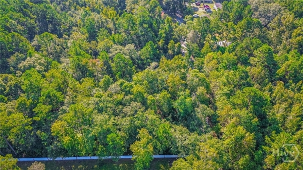 Listing Image #3 - Others for sale at 247 Cedar Lane, Guyton GA 31312