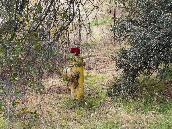 Listing Image #3 - Others for sale at 1 Hangtree Court, Oakhurst CA 93644