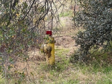 Listing Image #3 - Others for sale at 1 Hangtree Court, Oakhurst CA 93644