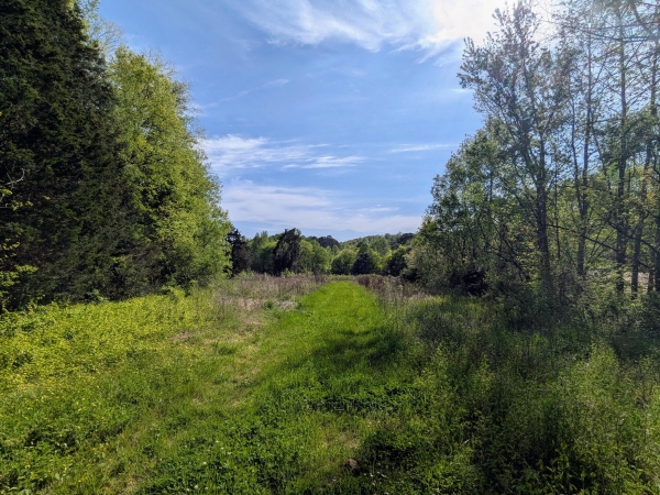 Listing Image #3 - Land for sale at 5694 Ladd Springs Road, Old Fort TN 37362 Listing Image #3 - Land for sale at 5694 Ladd Springs Road, Old Fort TN 37362