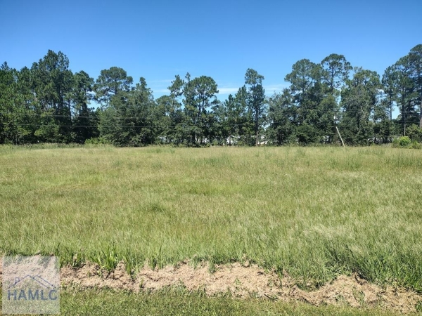 Listing Image #1 - Others for sale at 951 Elma G Miles Pkwy, Hinesville GA 31313 Listing Image #1 - Others for sale at 951 Elma G Miles Pkwy, Hinesville GA 31313