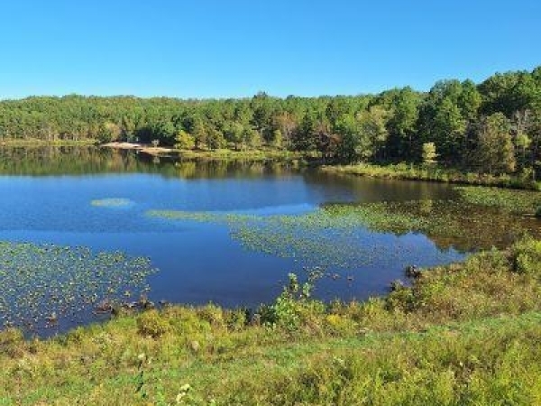 Listing Image #2 - Land for sale at 4 Turkey Creek, Lowndes MO 63951