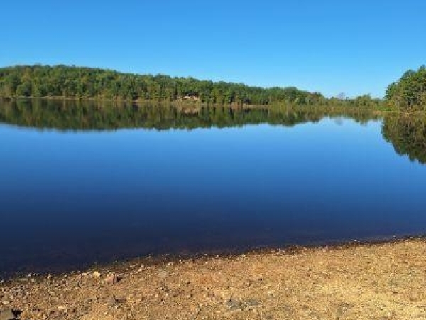 Listing Image #3 - Land for sale at 4 Turkey Creek, Lowndes MO 63951