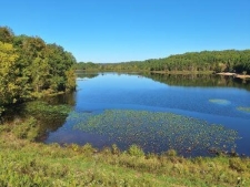 Land property for sale in Lowndes, MO