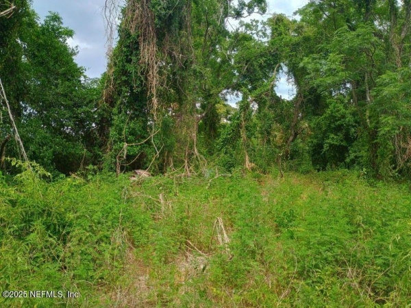 Listing Image #1 - Others for sale at 341 College Dr. C., Orange Park FL 32065