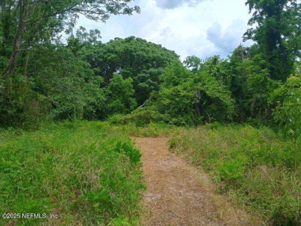 Listing Image #2 - Others for sale at 341 College Dr. C., Orange Park FL 32065