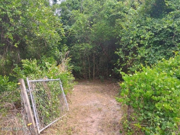 Listing Image #3 - Others for sale at 341 College Dr. C., Orange Park FL 32065