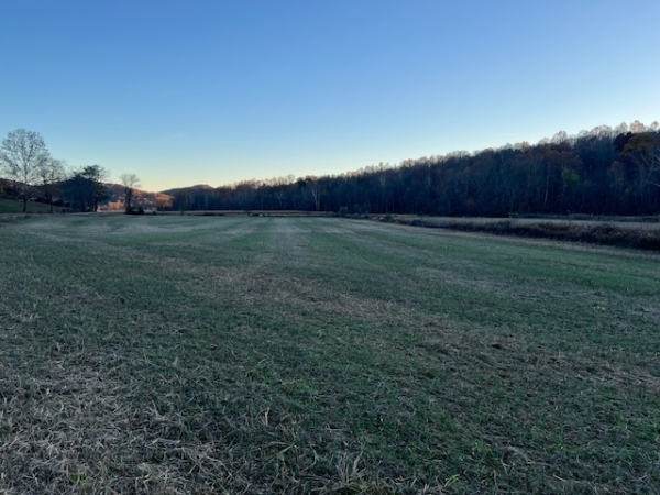 Listing Image #2 - Land for sale at 0 Barnes Lane, Chillicothe OH 45601 Listing Image #2 - Land for sale at 0 Barnes Lane, Chillicothe OH 45601