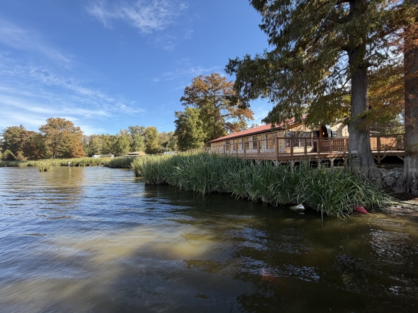 Listing Image #1 - Resort for sale at E. Lakeview Dr, Samburg TN 38232