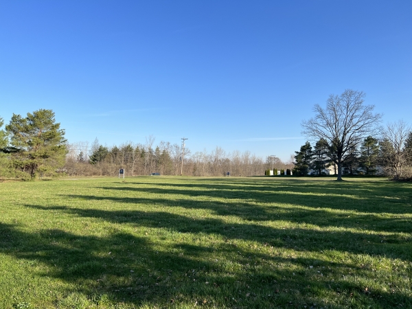 Listing Image #1 - Land for sale at 0 Fenton Rd, Grand Blanc MI 48439