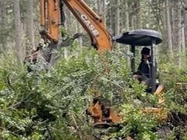 Listing Image #3 - Land for sale at 11307 114TH STREET CT, ANDERSON ISLAND WA 98303 Listing Image #3 - Land for sale at 11307 114TH STREET CT, ANDERSON ISLAND WA 98303