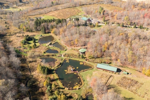 Listing Image #2 - Others for sale at 304 Sutherland Road #2, East Meredith NY 13757 Listing Image #2 - Others for sale at 304 Sutherland Road #2, East Meredith NY 13757