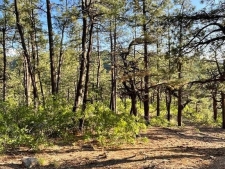 Land property for sale in Durango, CO