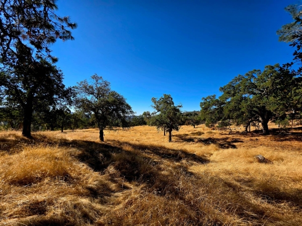 Listing Image #2 - Others for sale at 1 Lilley Mountain Drive, Coarsegold CA 93614