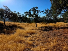 Listing Image #3 - Others for sale at 1 Lilley Mountain Drive, Coarsegold CA 93614