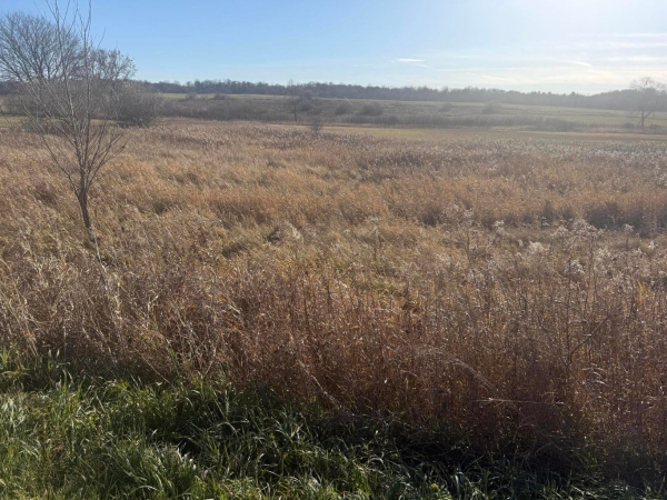 Listing Image #3 - Land for sale at 18 Mile Road, Big Rapids MI 49307 Listing Image #3 - Land for sale at 18 Mile Road, Big Rapids MI 49307