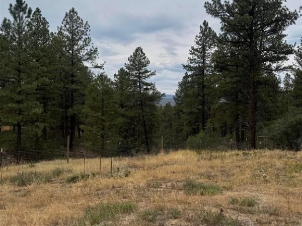 Listing Image #1 - Land for sale at 520 Hilltop, Pagosa Springs CO 81147 Listing Image #1 - Land for sale at 520 Hilltop, Pagosa Springs CO 81147