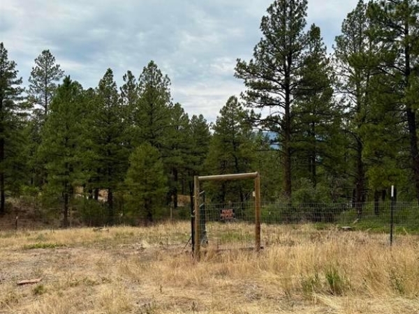 Listing Image #3 - Land for sale at 520 Hilltop, Pagosa Springs CO 81147 Listing Image #3 - Land for sale at 520 Hilltop, Pagosa Springs CO 81147