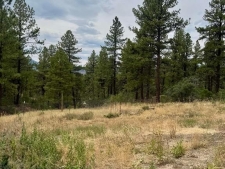 Listing Image #2 - Land for sale at 520 Hilltop, Pagosa Springs CO 81147