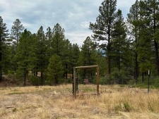 Listing Image #3 - Land for sale at 520 Hilltop, Pagosa Springs CO 81147