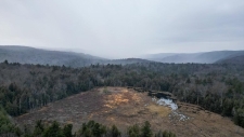 Listing Image #2 - Land for sale at 2439 W Center Rd, Otis MA 01253