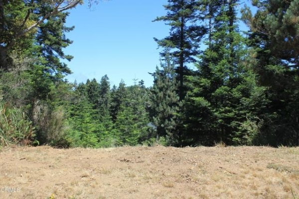 Listing Image #2 - Land for sale at 44068 Ocean Vista Court, Mendocino CA 95460 Listing Image #2 - Land for sale at 44068 Ocean Vista Court, Mendocino CA 95460