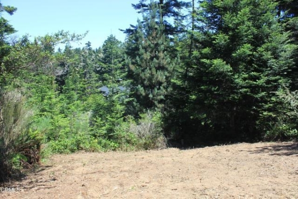 Listing Image #3 - Land for sale at 44068 Ocean Vista Court, Mendocino CA 95460 Listing Image #3 - Land for sale at 44068 Ocean Vista Court, Mendocino CA 95460