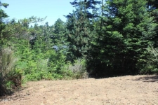Listing Image #3 - Land for sale at 44068 Ocean Vista Court, Mendocino CA 95460