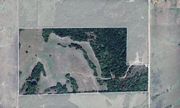 Listing Image #3 - Land for sale at 75 Acres 35300 Road, Maramec OK 74045